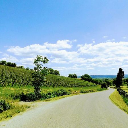 Centralissimo Nel Cuore Del Borgo Suvereto Dış mekan fotoğraf