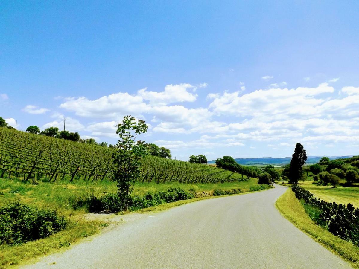 Centralissimo Nel Cuore Del Borgo Suvereto Dış mekan fotoğraf