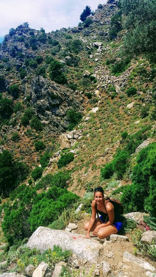 Centralissimo Nel Cuore Del Borgo Suvereto Dış mekan fotoğraf