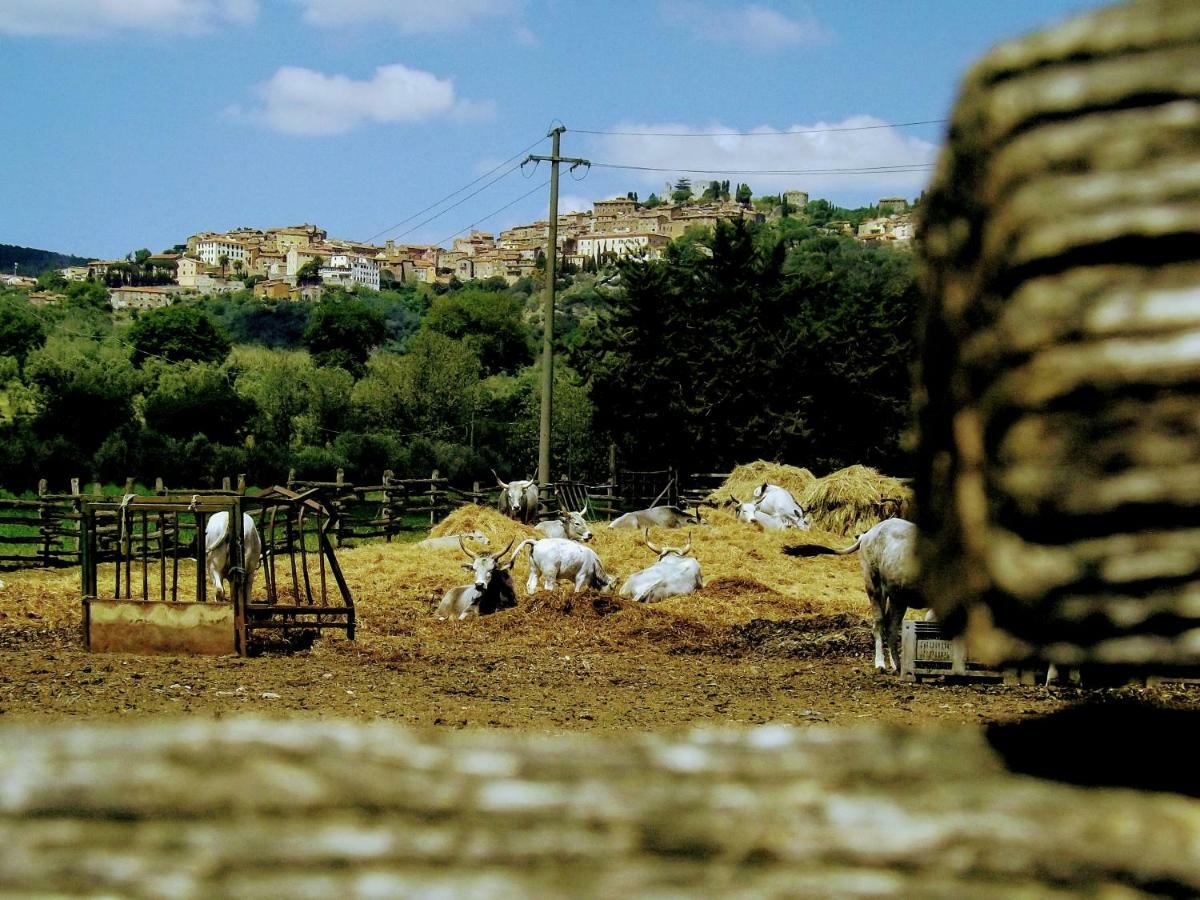 Centralissimo Nel Cuore Del Borgo Suvereto Dış mekan fotoğraf